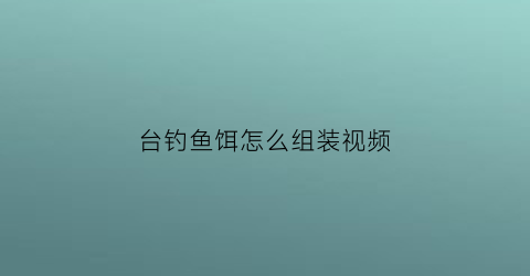 台钓鱼饵怎么组装视频(自制台钓饵)
