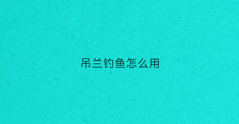 吊兰钓鱼怎么用(吊兰钓鱼怎么用视频教程)