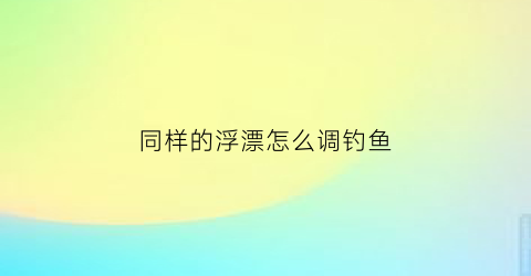 同样的浮漂怎么调钓鱼(同样的钓点同样的饵料)