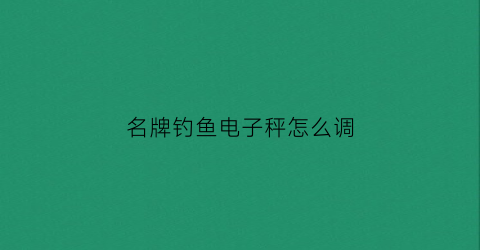 名牌钓鱼电子秤怎么调