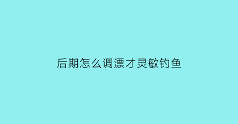 “后期怎么调漂才灵敏钓鱼(调完漂后如何调钓目)