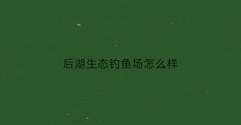 后湖生态钓鱼场怎么样(后湖野钓点)