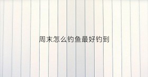 周末怎么钓鱼最好钓到(周末怎么钓鱼最好钓到鱼)