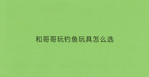 和哥哥玩钓鱼玩具怎么选