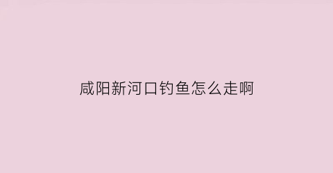 咸阳新河口钓鱼怎么走啊(西安新河口)