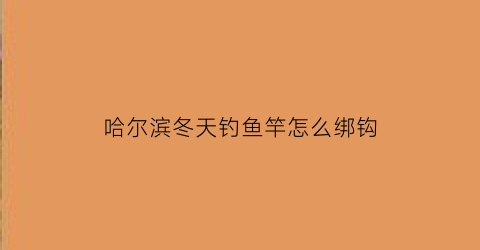 哈尔滨冬天钓鱼竿怎么绑钩(哈尔滨室内冬钓)