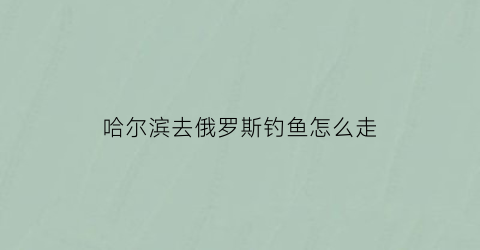 哈尔滨去俄罗斯钓鱼怎么走(哈尔滨到俄罗斯最近的口岸是哪个)