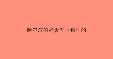 哈尔滨的冬天怎么钓鱼的