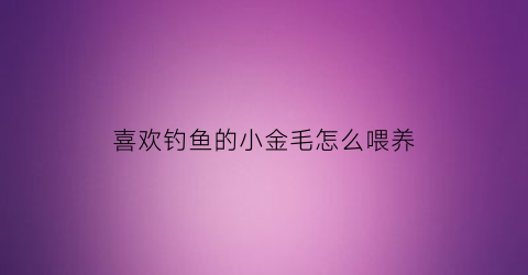 “喜欢钓鱼的小金毛怎么喂养(主人钓鱼金毛放鱼)