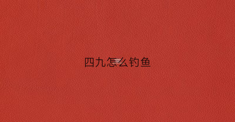 四九怎么钓鱼(四九鲤鱼)