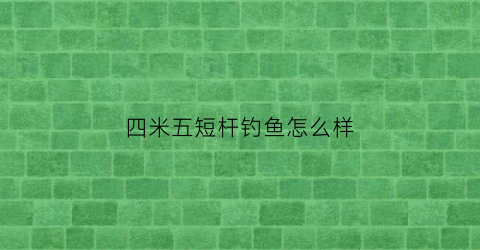 四米五短杆钓鱼怎么样