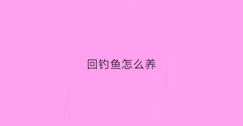 回钓鱼怎么养