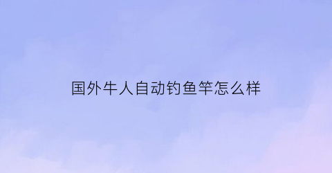 国外牛人自动钓鱼竿怎么样