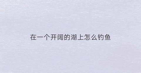 在一个开阔的湖上怎么钓鱼(在湖边钓鱼怎么钓)