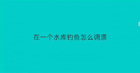 在一个水库钓鱼怎么调漂(水库一般调几钓几)