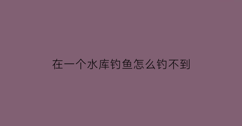 在一个水库钓鱼怎么钓不到(为什么在水库钓不到大鱼)