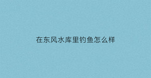 在东风水库里钓鱼怎么样(东风水库怎么走)