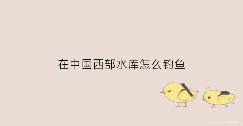 在中国西部水库怎么钓鱼(在中国西部水库怎么钓鱼的)