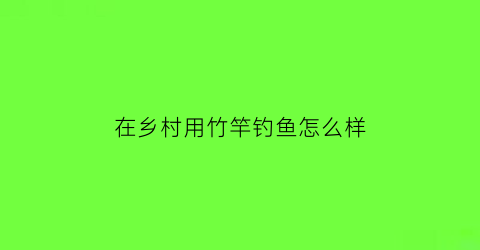 “在乡村用竹竿钓鱼怎么样(在乡村用竹竿钓鱼怎么样才能钓到)