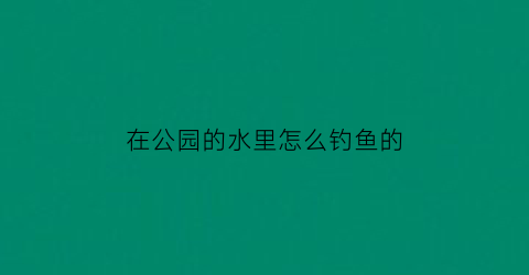 在公园的水里怎么钓鱼的(公园里的鱼太谨慎怎么钓)