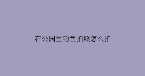 在公园里钓鱼拍照怎么拍(公园钓鱼视频)