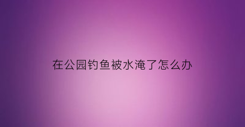 在公园钓鱼被水淹了怎么办