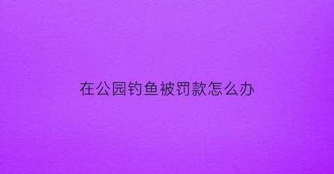 在公园钓鱼被罚款怎么办