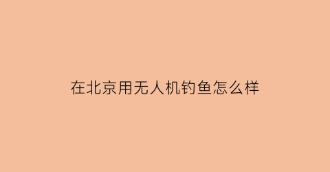 “在北京用无人机钓鱼怎么样(北京无人机能起飞吗)