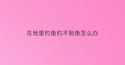 “在地里钓鱼钓不到鱼怎么办(河里钓鱼钓不到)