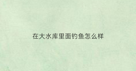 在大水库里面钓鱼怎么样(在大水库里面钓鱼怎么样啊)
