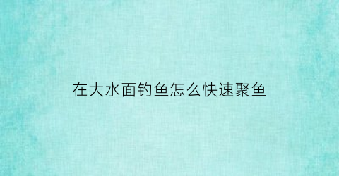 “在大水面钓鱼怎么快速聚鱼(在大水面钓鱼怎么快速聚鱼视频)