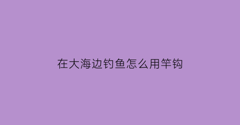 在大海边钓鱼怎么用竿钩(在大海边钓鱼怎么用竿钩钓鱼)