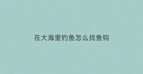 在大海里钓鱼怎么找鱼钩(在海上怎么钓鱼)