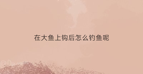 “在大鱼上钩后怎么钓鱼呢(大鱼上钩后怎么溜鱼)