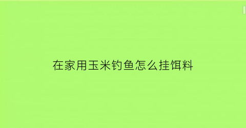 “在家用玉米钓鱼怎么挂饵料(在家用玉米钓鱼怎么挂饵料好)