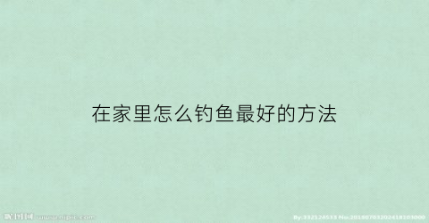 在家里怎么钓鱼最好的方法(家庭钓鱼)