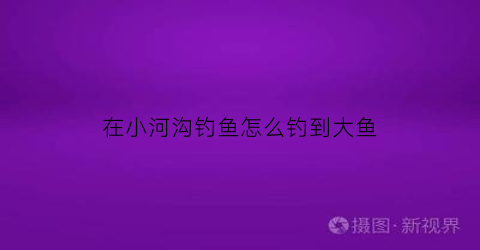 在小河沟钓鱼怎么钓到大鱼(小河沟怎么钓鲫鱼)