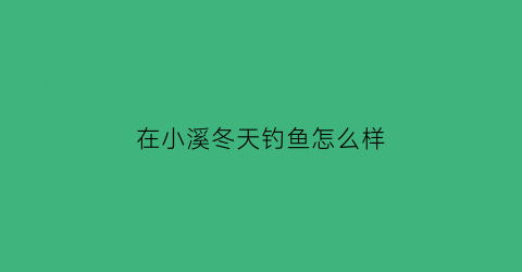 在小溪冬天钓鱼怎么样(在小溪冬天钓鱼怎么样呢)