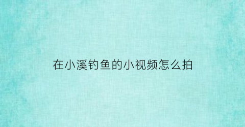 在小溪钓鱼的小视频怎么拍(在小溪钓鱼的小视频怎么拍摄)