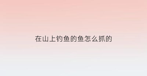 在山上钓鱼的鱼怎么抓的