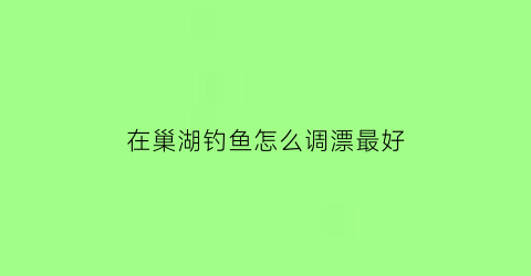 在巢湖钓鱼怎么调漂最好(巢湖钓鱼用什么饵料)