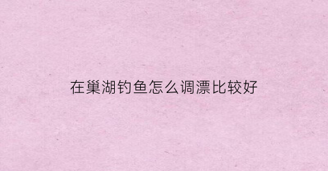 在巢湖钓鱼怎么调漂比较好