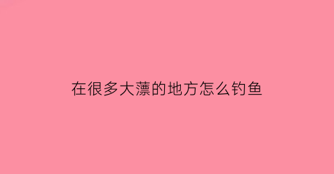 “在很多大薸的地方怎么钓鱼(到鱼多的地方钓鱼)