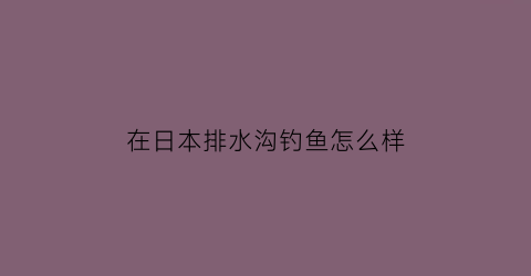 在日本排水沟钓鱼怎么样(日本水库钓鱼)