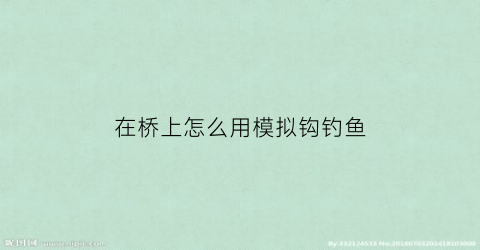 在桥上怎么用模拟钩钓鱼