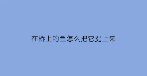 在桥上钓鱼怎么把它提上来(大桥上钓鱼怎么提起来)