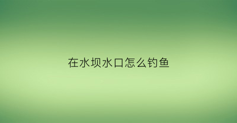 在水坝水口怎么钓鱼(在水坝水口怎么钓鱼视频)