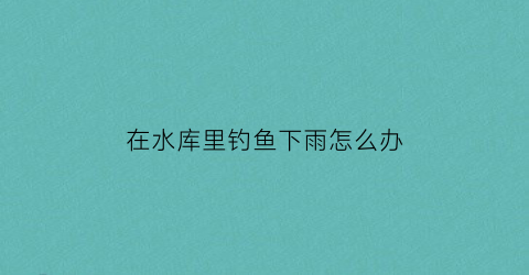在水库里钓鱼下雨怎么办(下雨天在水库钓鱼钓什么位置)