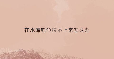 在水库钓鱼拉不上来怎么办(水库钓鱼为啥总是钓不到)