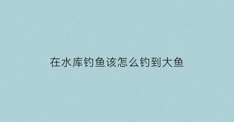 “在水库钓鱼该怎么钓到大鱼(在水库到底该如何才能钓到大鱼)
